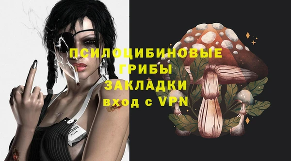 соль курить ск Арсеньев