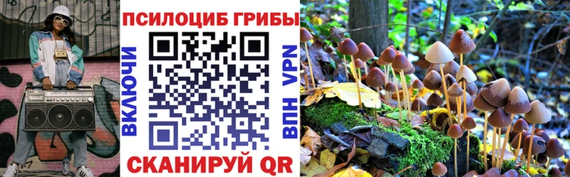 Псилоцибиновые грибы Psilocybe Темрюк